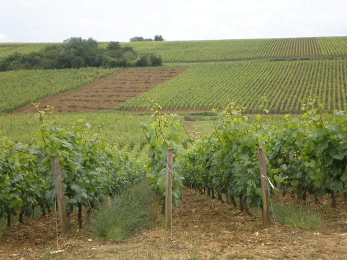 2008 juin bourgogne 056.jpg